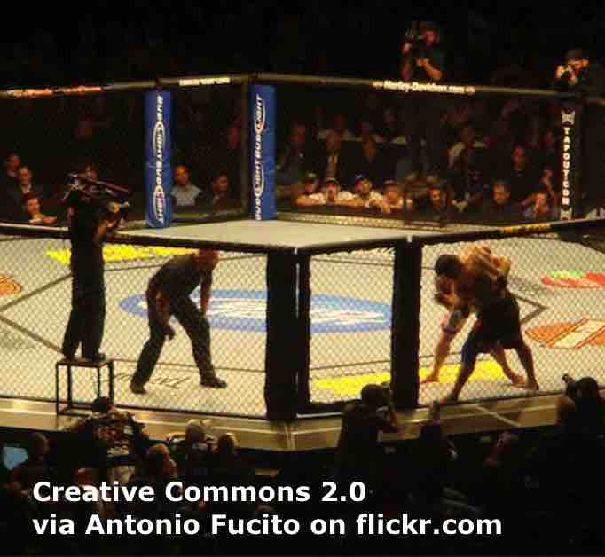 cage-fights-esl-lesson-plan-breaking-news-english-lesson