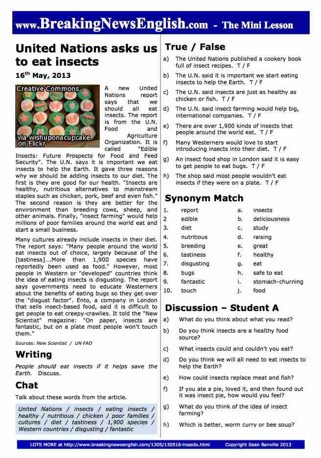A 2-Page Mini-Lesson - Eating Insects