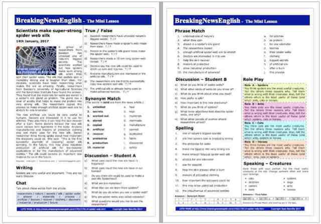 A 2-Page Mini-Lesson - Spider Webs