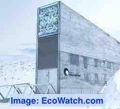 ESL lesson on a special vault storing the world's most precious seeds.