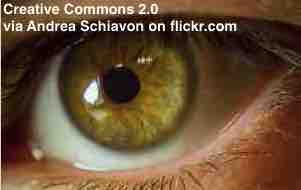 ESL lesson on eye tests that will soon be available on your smartphone.