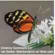 An ESL lesson on Insect Apocalypse - Scientists warn insect apocalypse is coming