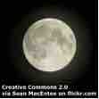 An ESL lesson on Life Partner - Japan tycoon needs 'life partner' for moon visit