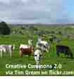 An ESL lesson on Cow Burps - New Zealand may tax farm animal burps