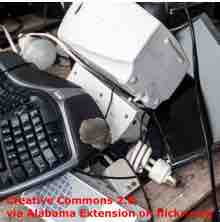 An ESL lesson on E-waste Catastrophe  - UN warns of environmental e-waste catastrophe
