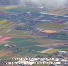An ESL lesson on Google Earth  - Google releases free 'Google Earth' flight simulator 