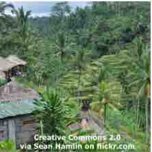 An ESL lesson on Day of Silence  - Bali jails tourist for not respecting Day of Silence 