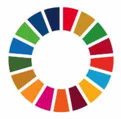 An ESL lesson on SDGs  - Sustainable Development Goals not on track, says UN