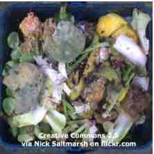 An ESL lesson on Food Waste - One billion meals thrown away every day